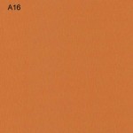 a10