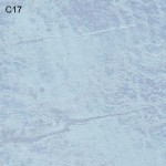 a11